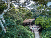  Ngaga Camp - Using the forest as their blueprint, Ngaga Camp is nestled amongst the trees