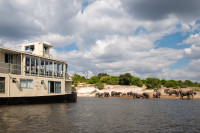 Chobe Princess