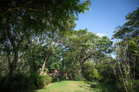 Grounds