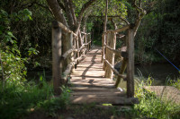 Little Bridge 