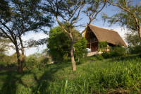 Thatched cottage