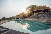 The Pool
