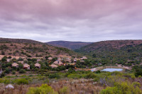Mark’s Camp is our family-friendly lodge – it has 8 stone & thatch chalets, decorated in a relaxed Pan-African style.