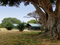 Tents