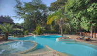 Lion Paw Swimming Pool