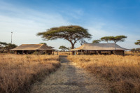 Main tents