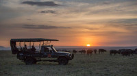 Game drives