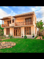 Garden and Terrace View