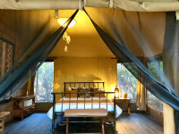 Hippo tent by day