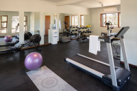 Safari Gym