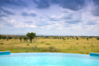 View of the Plains