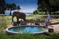 Regular visitors in the main area