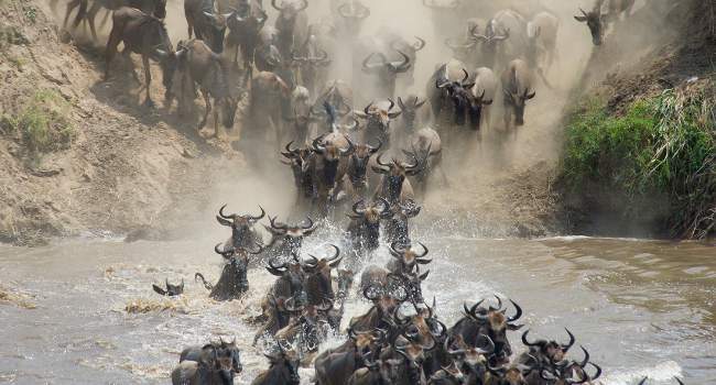 Tanzania Voted the Best Safari Country of Africa in 2013