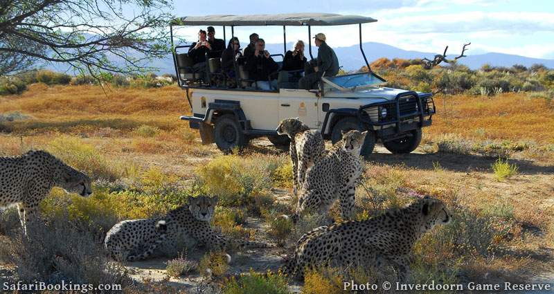 Inverdoorn Game Reserve