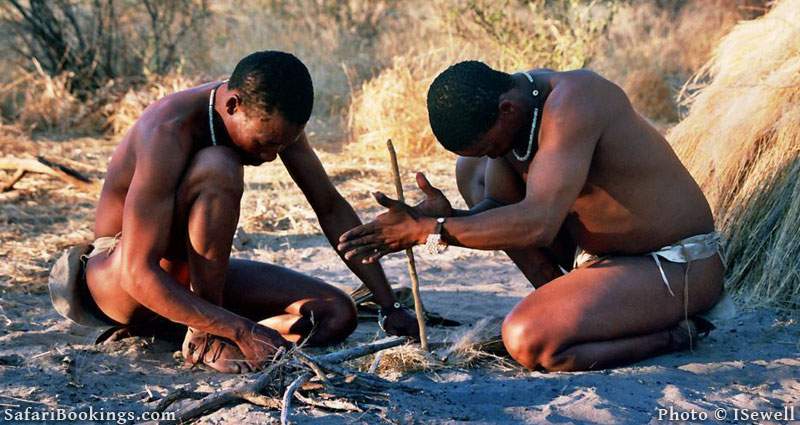 Walk with the Bushmen