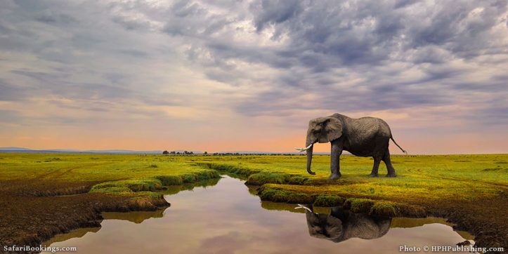 Best Places To See the Big 5 on Safari in Africa