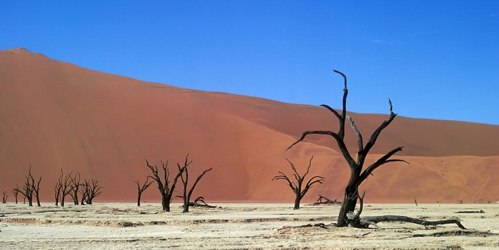Planning a Trip To Visit Deadvlei in Namibia