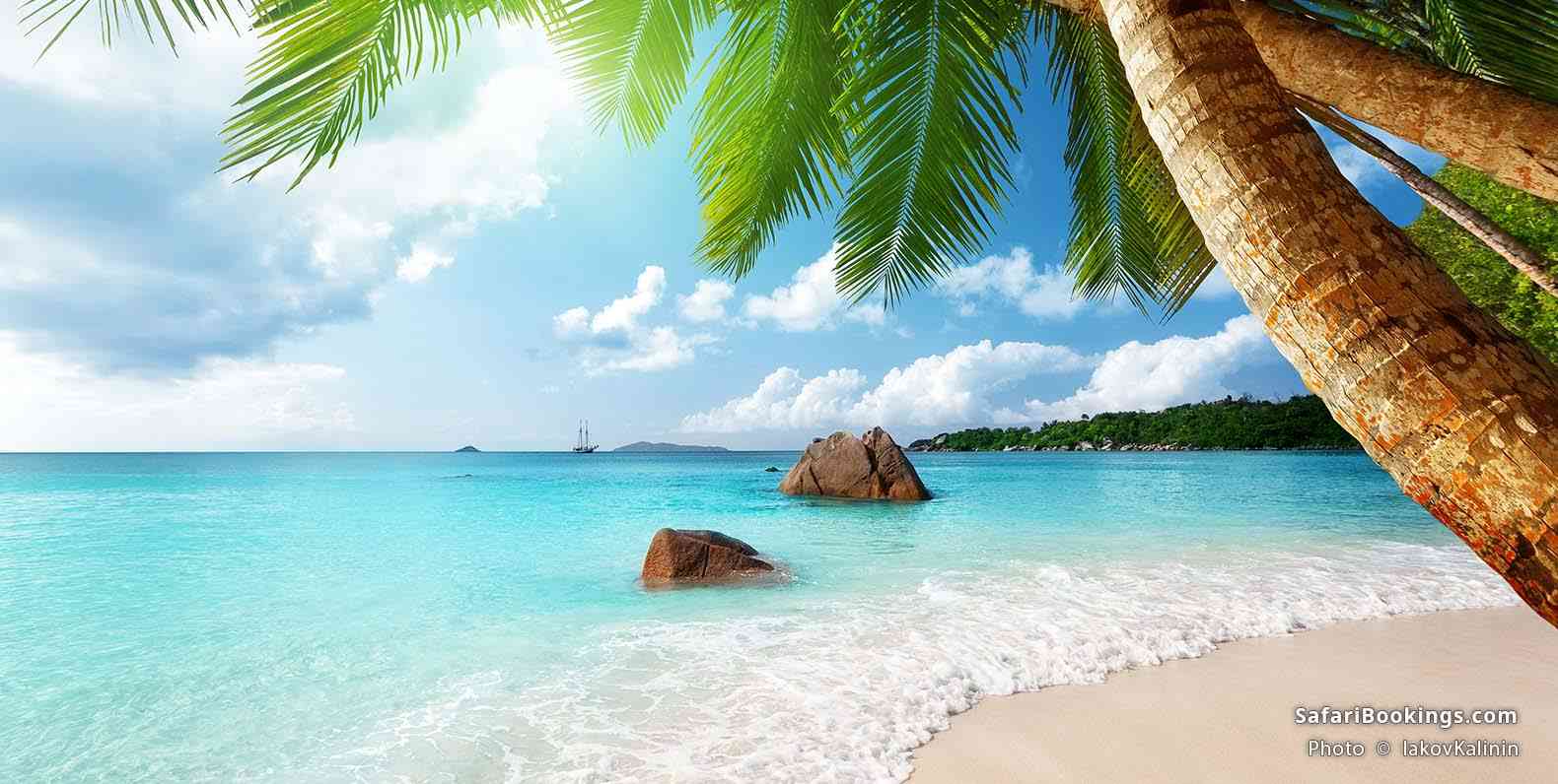 Anse Lazio beach