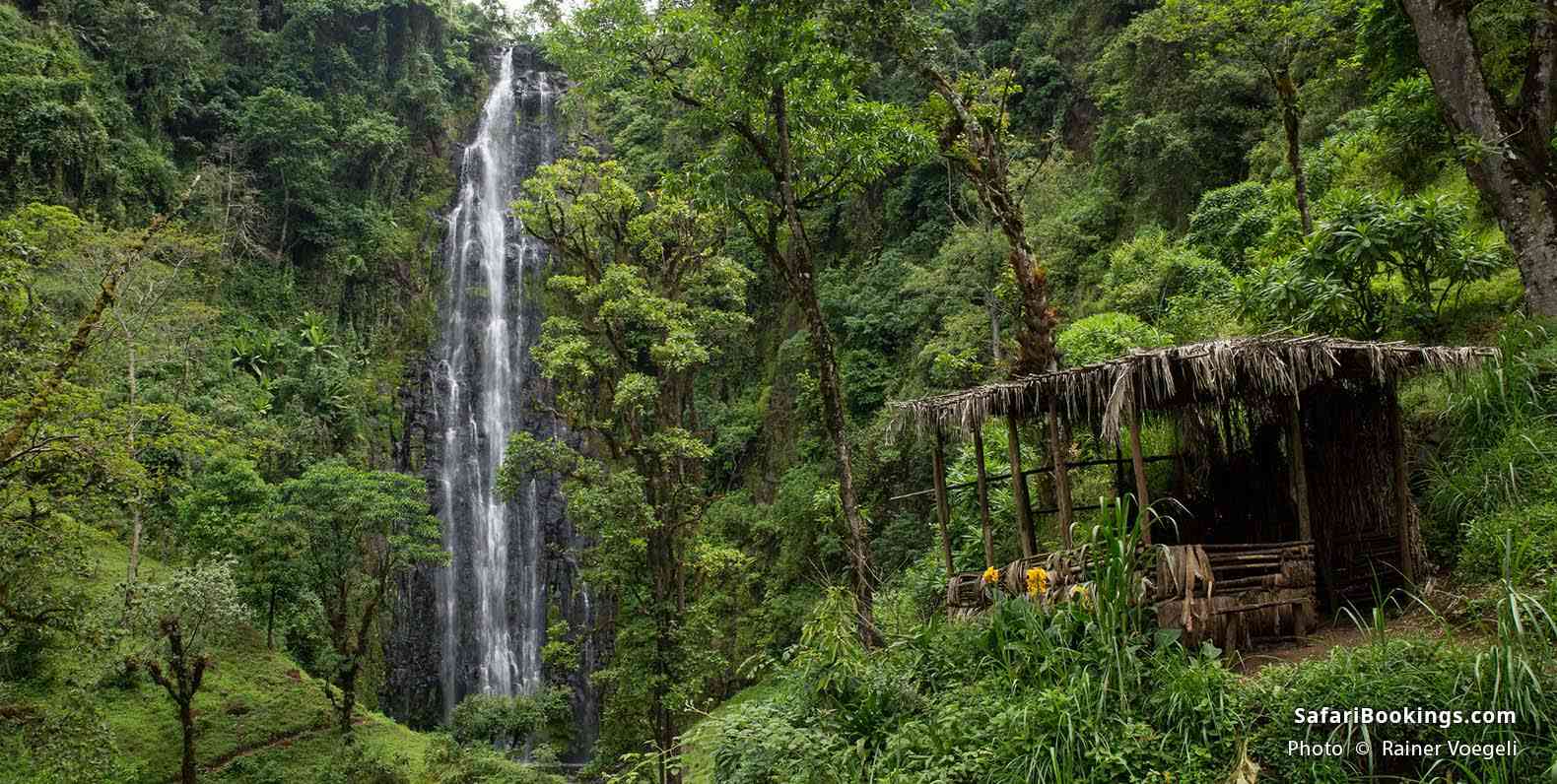 Moshi, Materuni waterfall