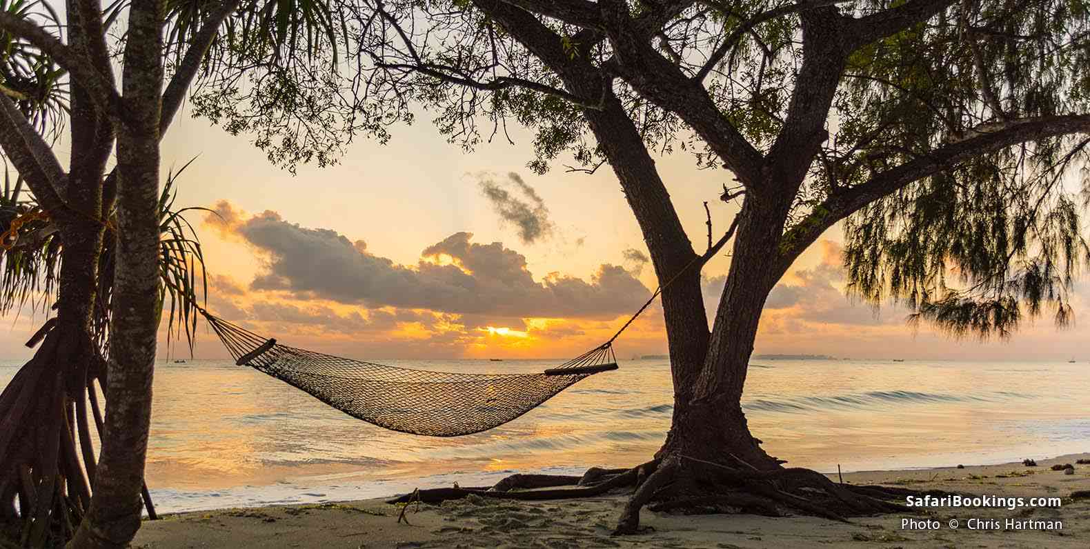 Hammock on the beach at sunrise