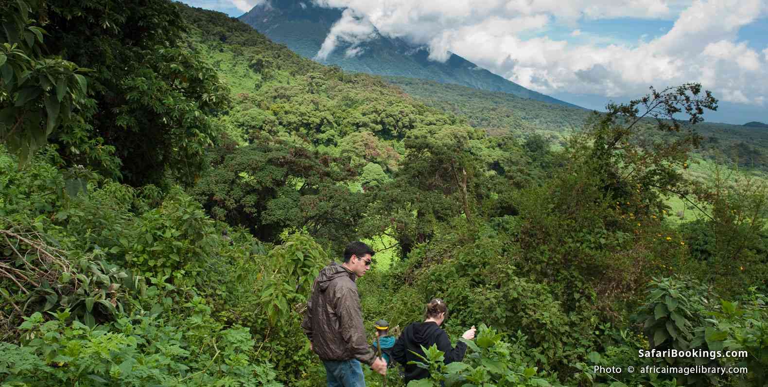 Hiking in Volcanoes National Park
