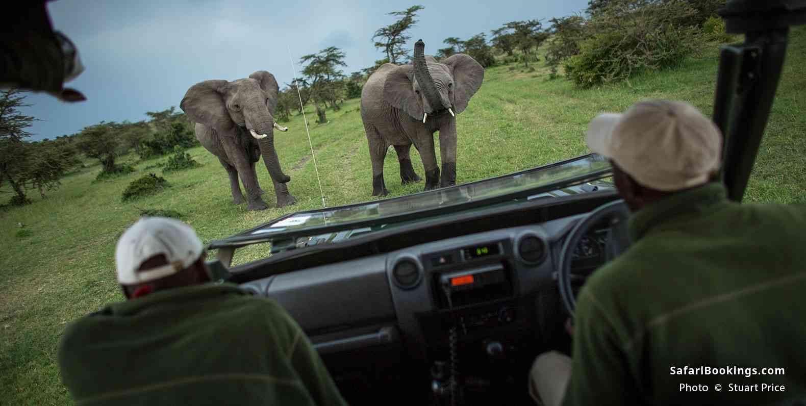 Safari vehicle and elephants in Mara Naboisho Conservancy