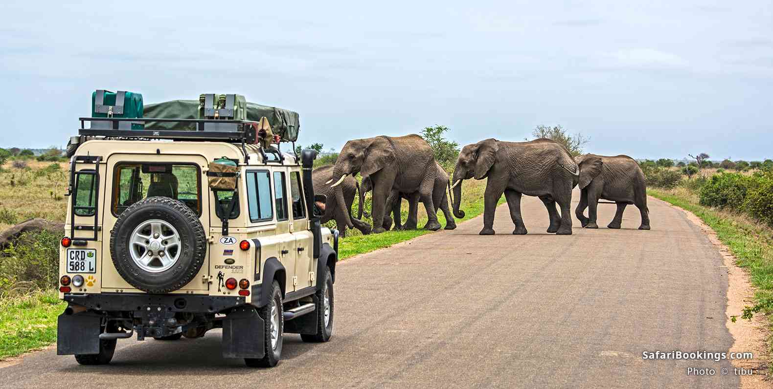 Safari vehicle and an elephant herd in Kruger National Park