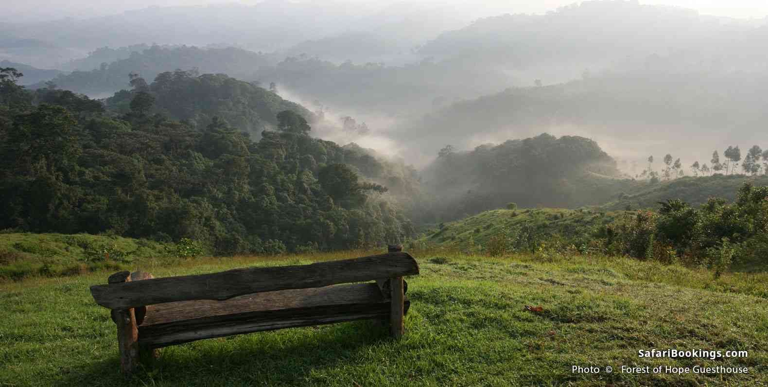 Forest of Hope Guesthouse