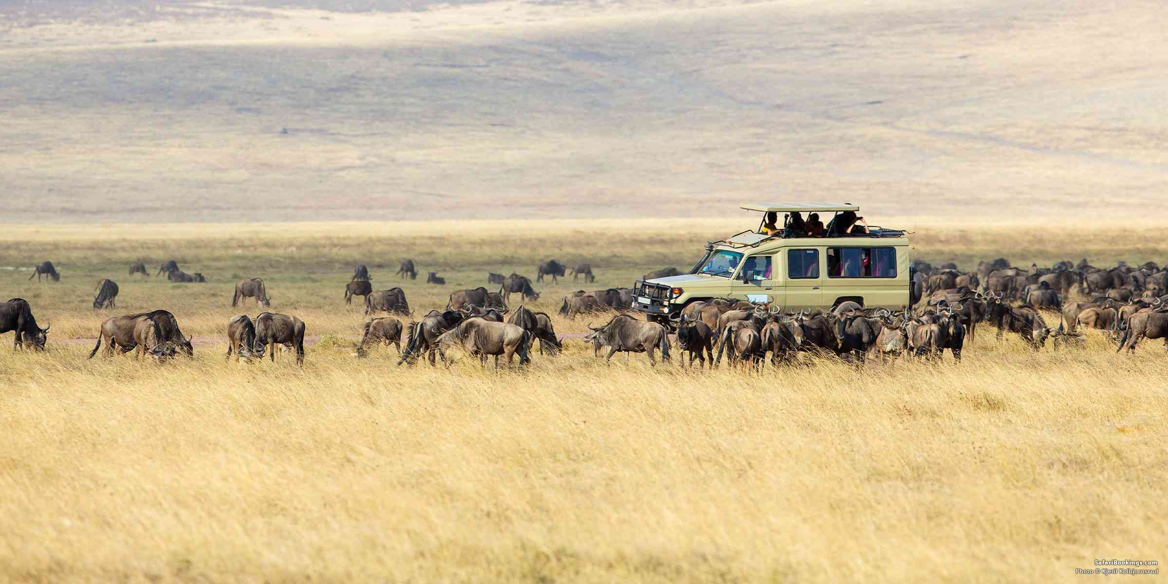Top 5 Best Tanzania Itinerary Ideas