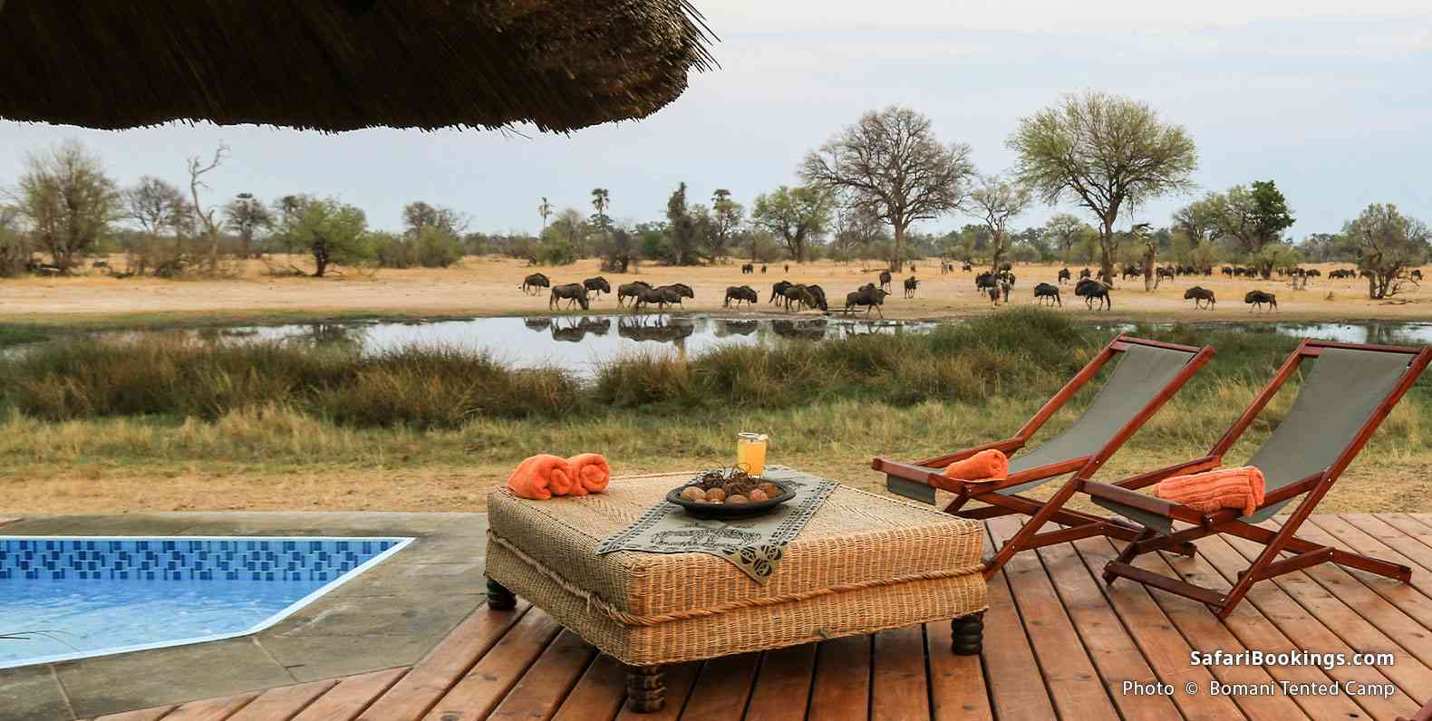 Bomani Tented Camp