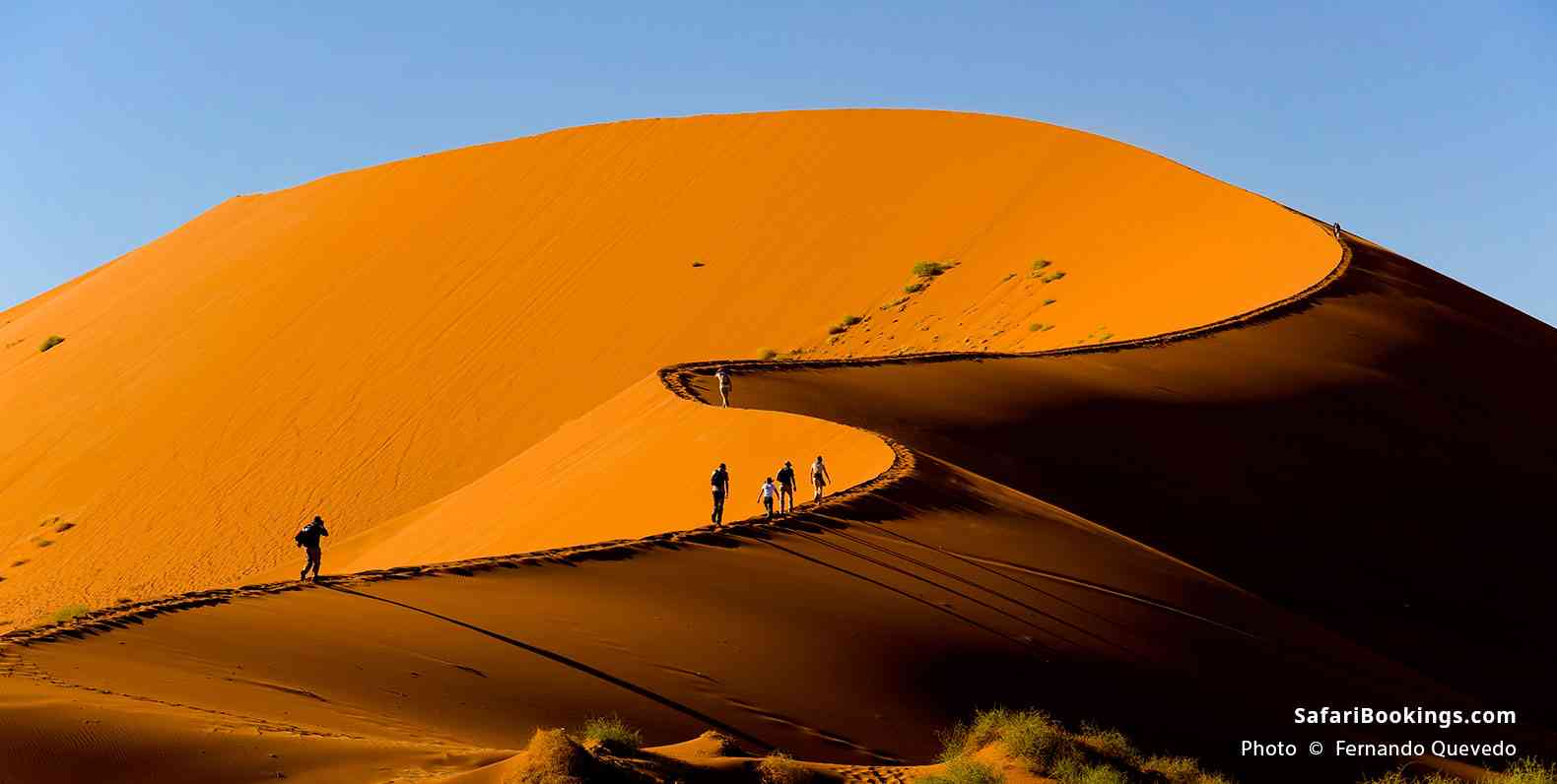 Visitors climbing a dune