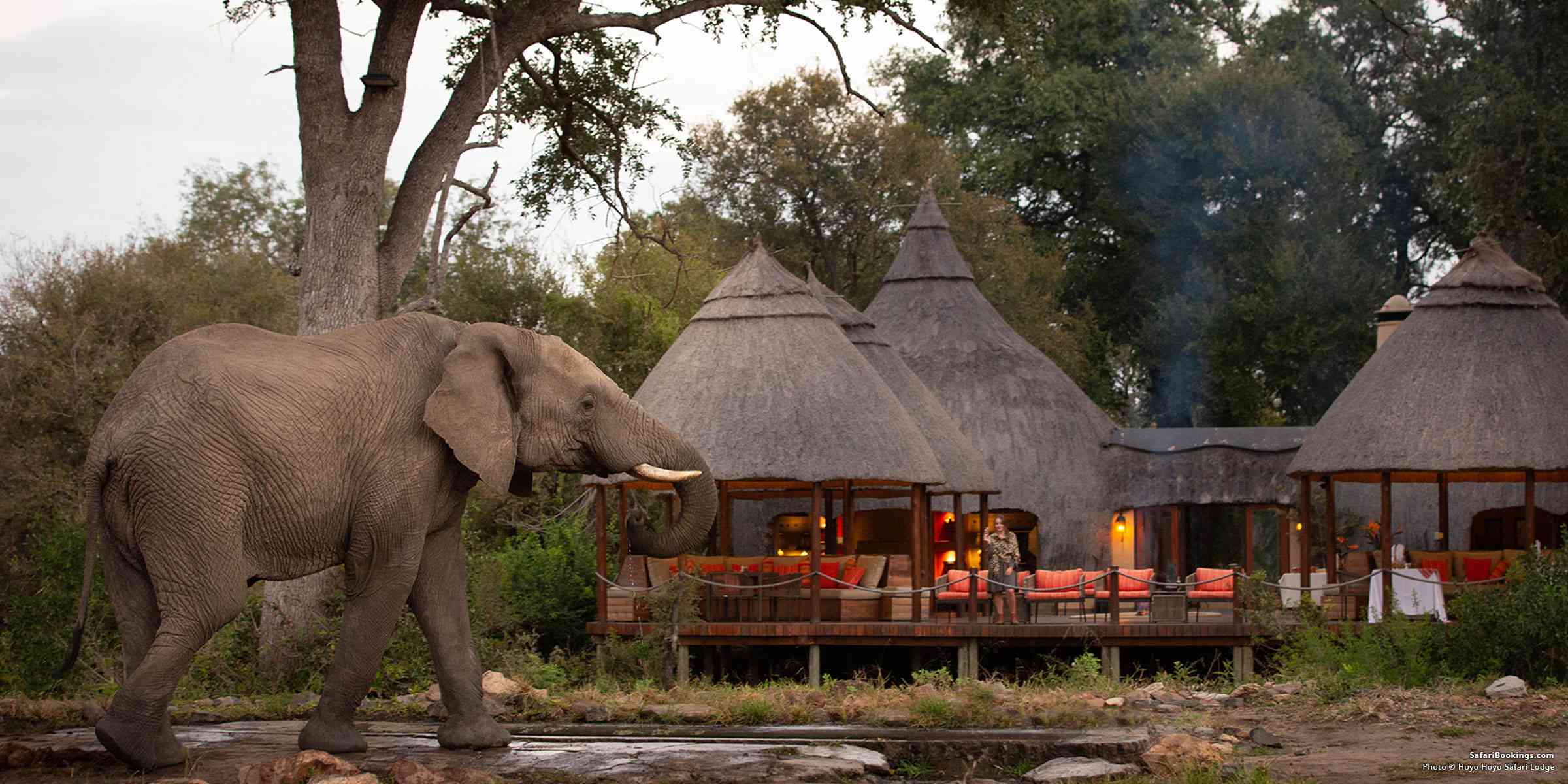 Top 10 Luxury Kruger National Park Lodges