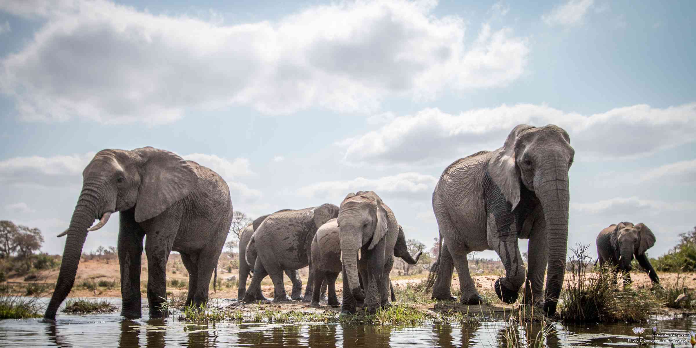 Guide to Visiting Kruger National Park – All You Need To Know