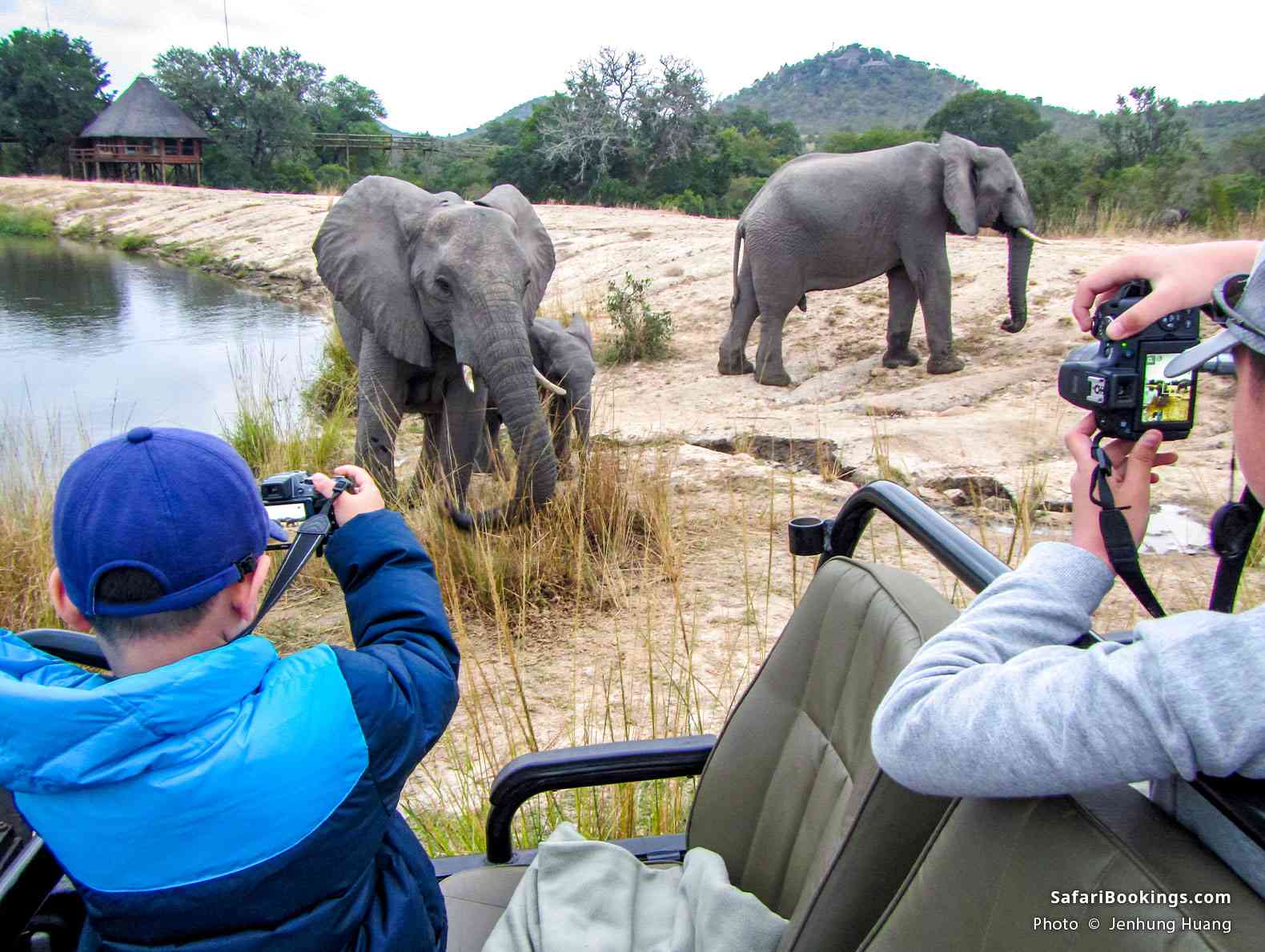 Travelers watching elephants in Kruger