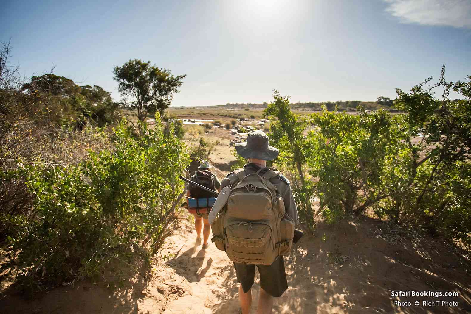 Walking safari in Kruger