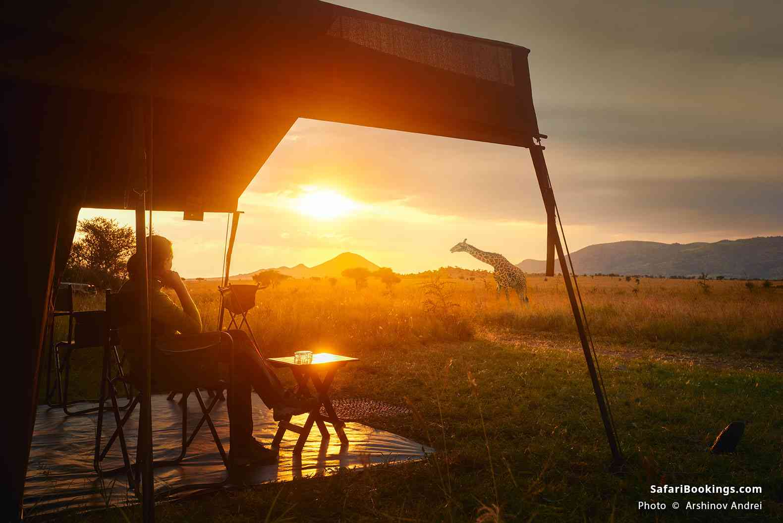 Giraffe walking past safari tent at sunset, Serengeti National Park
