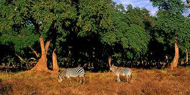 Chizarira National Park