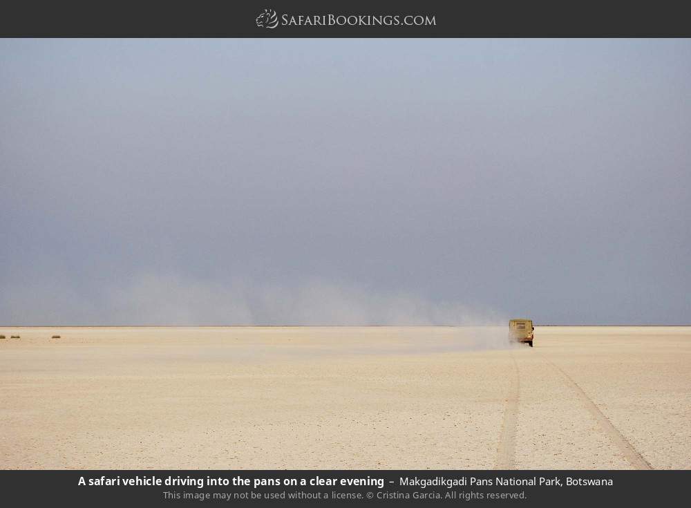 A safari vehicle driving into the pans of the Makgadikgadi on a clear evening in Makgadikgadi Pans National Park, Botswana