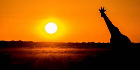 3-Day Chobe Wildlife Safari Experience