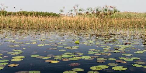 7-Day Botswana Magic and Incredible Victoria Falls