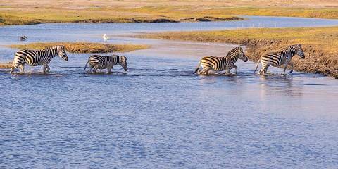 3-Day Visiting Okavango Delta, the World Heritage Site