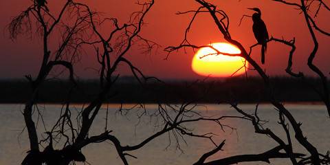 7-Day Land, River and Falls Safari