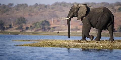 2-Day Chobe Wildlife Safari – Big Game on Land & Water
