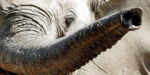 3-Day The Mighty Chobe River