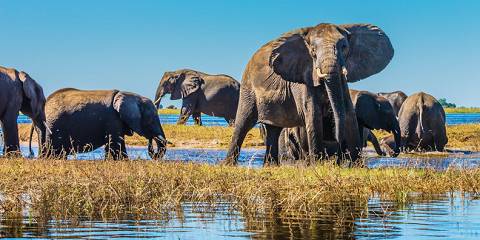 4-Day Okavango Explorer Set Departures