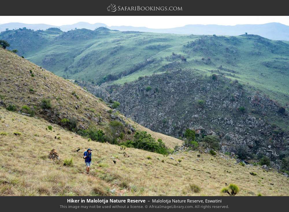 Hiker in Malolotja NR in Malolotja Nature Reserve, Eswatini