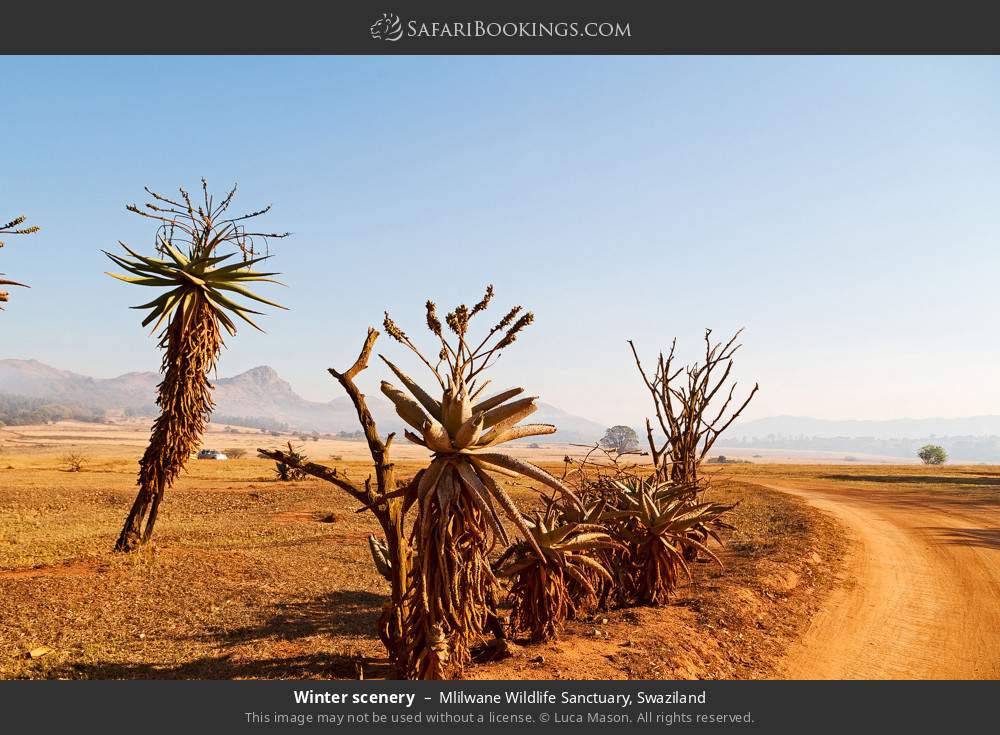 Winter scenery, Mlilwane WS in Mlilwane Wildlife Sanctuary, Eswatini