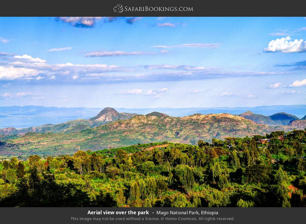 Aerial view over Mago NP in Mago National Park, Ethiopia