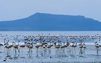Abijatta-Shalla National Park