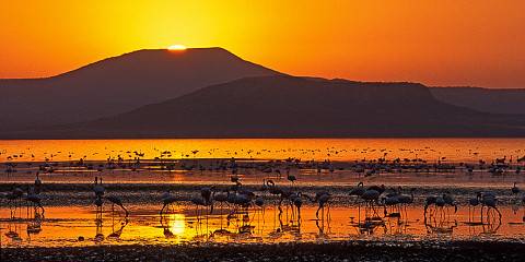 Abijatta-Shalla Lakes National Park Adventure